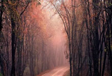 28圈：[德甲]米特尔施塔特助攻 德米洛维奇头球破门.