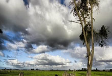 [高尔夫]美国大师赛参赛国数目创纪录 新加坡也有代表参赛.