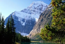 28圈：[图]足总杯-麦卡蒂戴帽格拉利什破门 曼城8-0晋级.