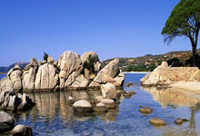 篮球——CBA常规赛：广州朗肽海本胜天津先行者.